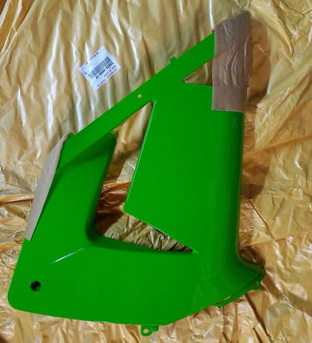 Carena ant kawasaki zx10r - dx,