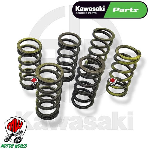 Kit molle frizione originali - kit,