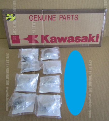 Kawasaki ninja 10r - kawasaki, 2007